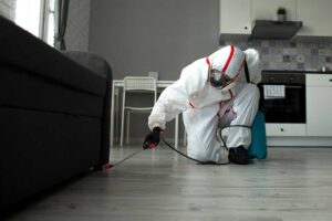 Pest Control photo from Adobe Stock